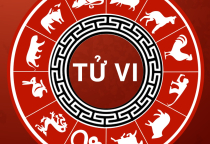 Khóa Học Tử Vi 