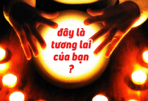 Tư Vấn Sự Nghiệp