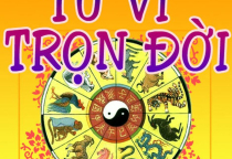 Tư Vấn Gia Đạo