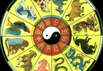 Khóa Học Trạch Nhật