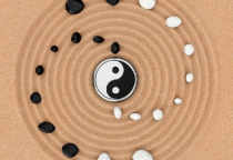 Khóa Học Kinh Dịch - Lục Hào