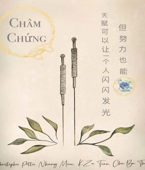 Châm Chứng Pdf