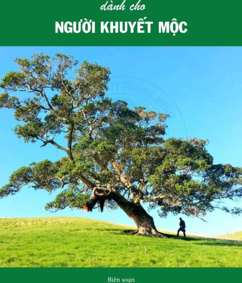 Bổ Sung Ngũ Hành Kim Dành Cho Người Khuyết Mộc Pdf