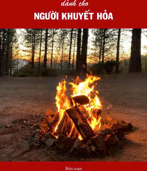 Bổ Sung Ngũ Hành Kim Dành Cho Người Khuyết Hỏa Pdf